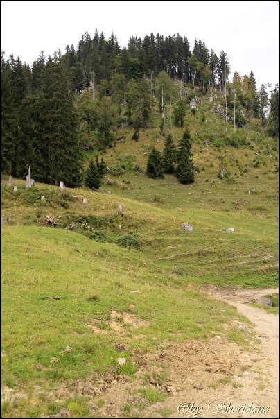 Hoerndlwand001.jpg