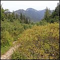 Hoerndlwand003.jpg