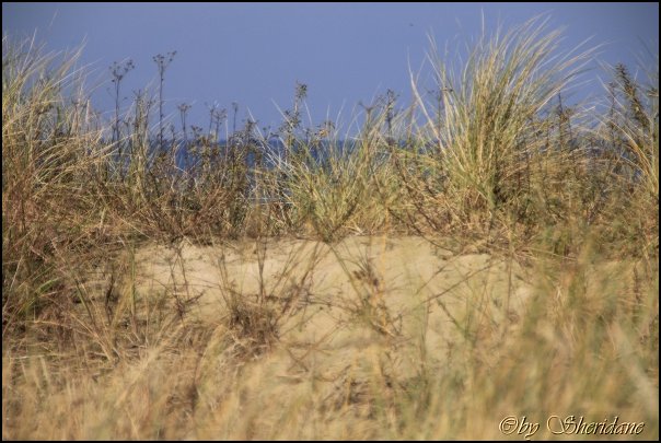 Ostsee021.jpg