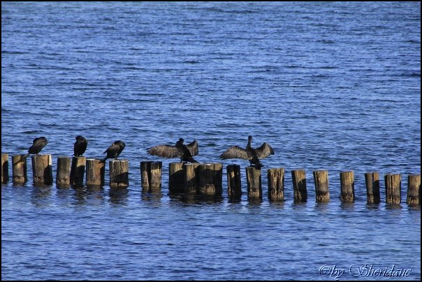 Ostsee040.jpg