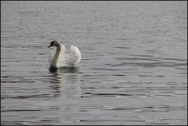 Ostsee056.jpg
