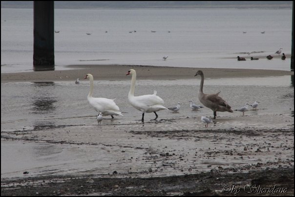 Ostsee062.jpg