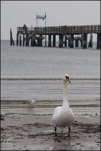 Ostsee063.jpg