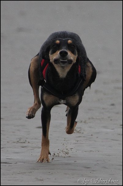 Ostsee064.jpg