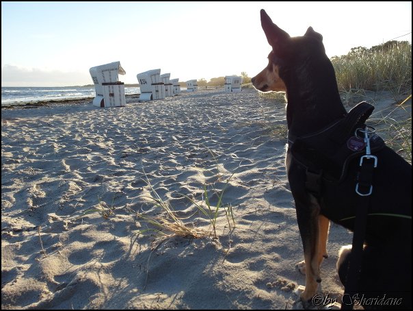 Ostsee068.jpg