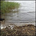 Ostsee004.jpg