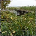 Ostsee005.jpg