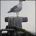 Ostsee018.jpg