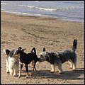 Ostsee023.jpg
