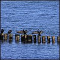 Ostsee040.jpg