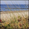 Ostsee044.jpg