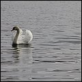 Ostsee056.jpg