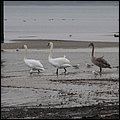 Ostsee062.jpg
