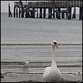Ostsee063.jpg