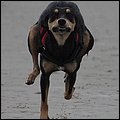 Ostsee064.jpg