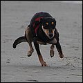 Ostsee066.jpg