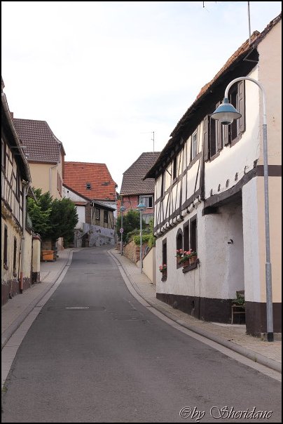 Weinstrasse004.jpg