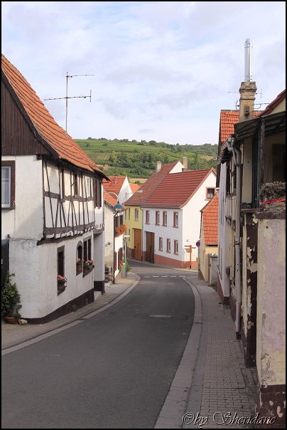 Weinstrasse008.jpg