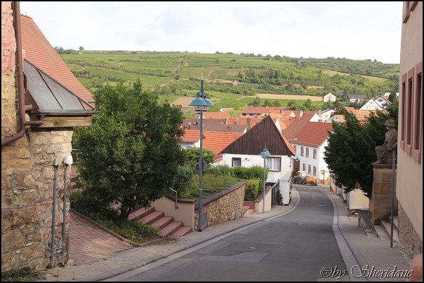 Weinstrasse010.jpg