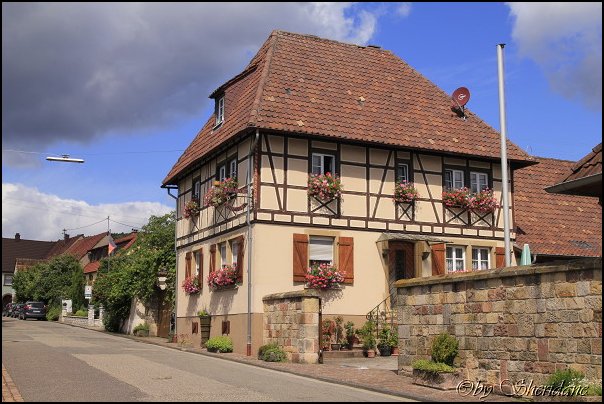 Weinstrasse016.jpg