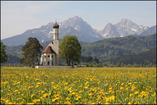 Neuschwanstein005.jpg