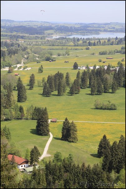 Neuschwanstein017.jpg