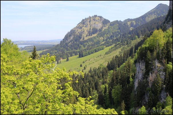 Neuschwanstein020.jpg