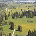 Neuschwanstein017.jpg