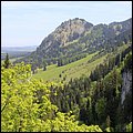 Neuschwanstein020.jpg