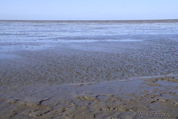 Wattwandern006.jpg
