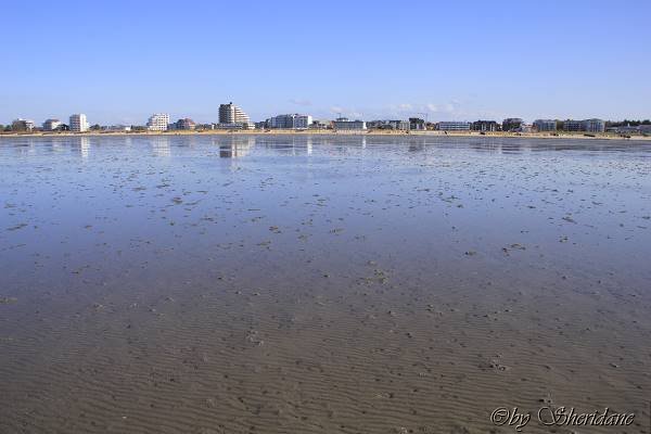 Wattwandern009.jpg