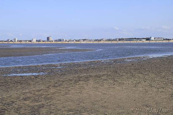 Wattwandern017.jpg
