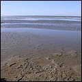 Wattwandern002.jpg