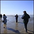 Wattwandern004.jpg