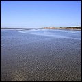 Wattwandern005.jpg
