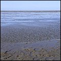 Wattwandern006.jpg