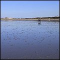 Wattwandern008.jpg