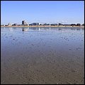 Wattwandern009.jpg