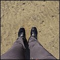 Wattwandern010.jpg