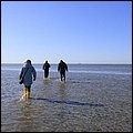 Wattwandern012.jpg