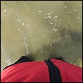 Wattwandern014.jpg