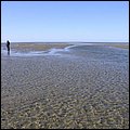 Wattwandern015.jpg
