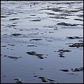 Wattwandern019.jpg