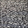 Wattwandern020.jpg