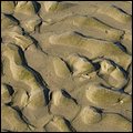 Wattwandern022.jpg