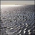Wattwandern023.jpg