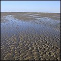 Wattwandern029.jpg