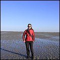 Wattwandern030.jpg