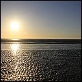 Wattwandern032.jpg