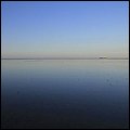 Wattwandern033.jpg